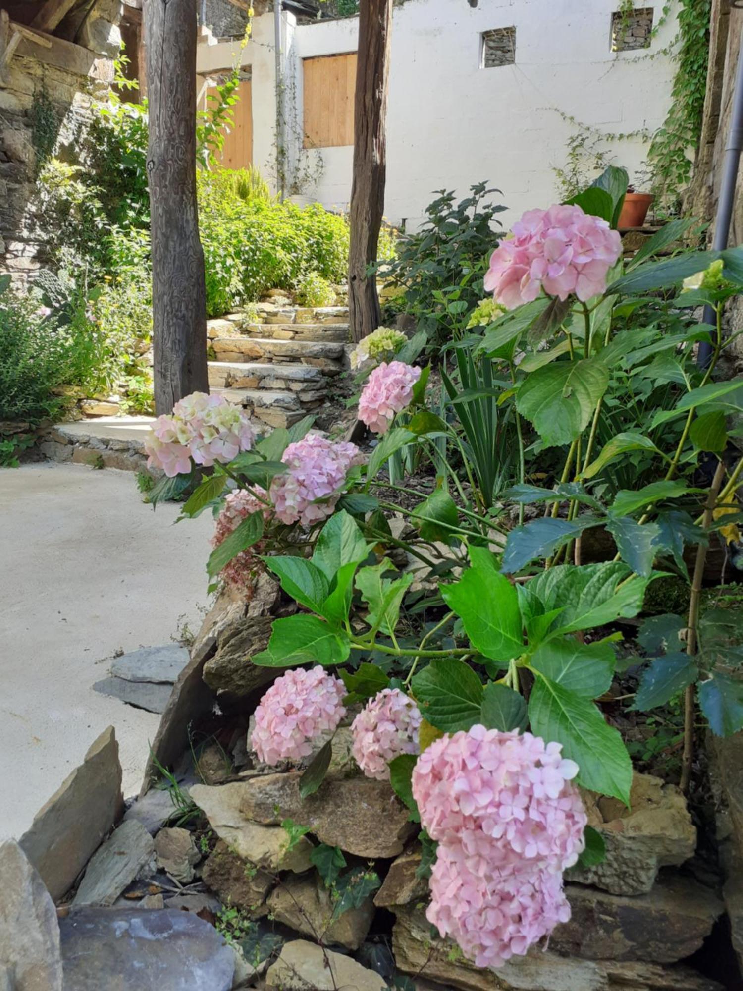 Sons Do Eo Apartamentos Turisticos Baleira ภายนอก รูปภาพ